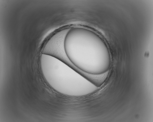 X0000096941263200802080851
