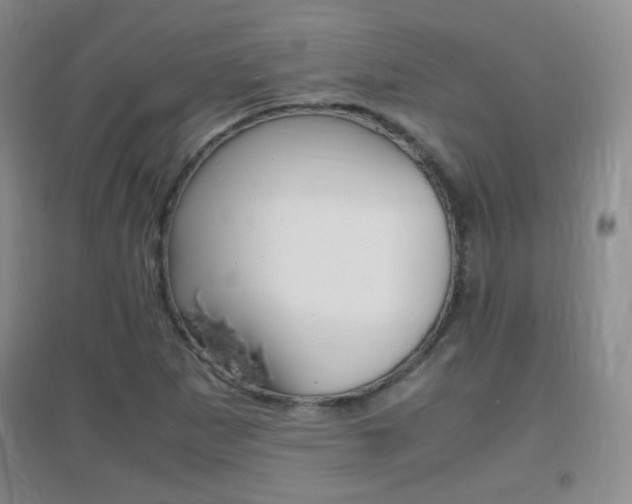 X0000096941265200802080851