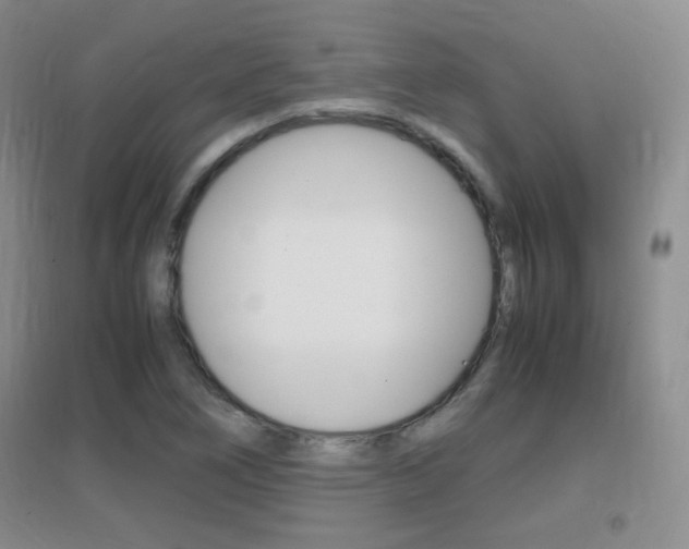 X0000096941266200802080851