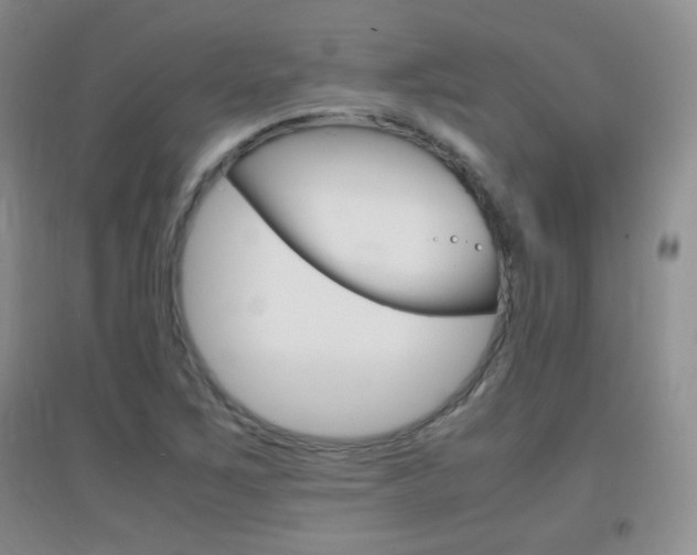 X0000096941267200802080851