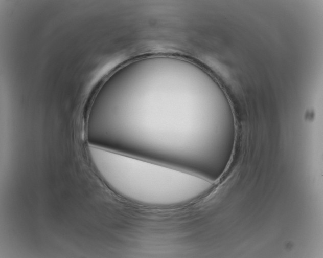 X0000096941269200802080850