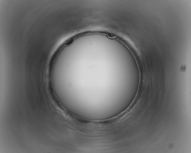 X0000096941270200802080850