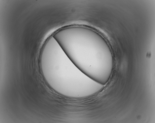 X0000096941271200802080850