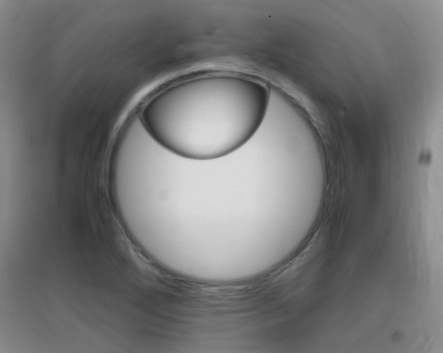 X0000096941272200802080850