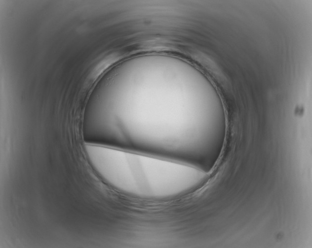 X0000096941273200802080850