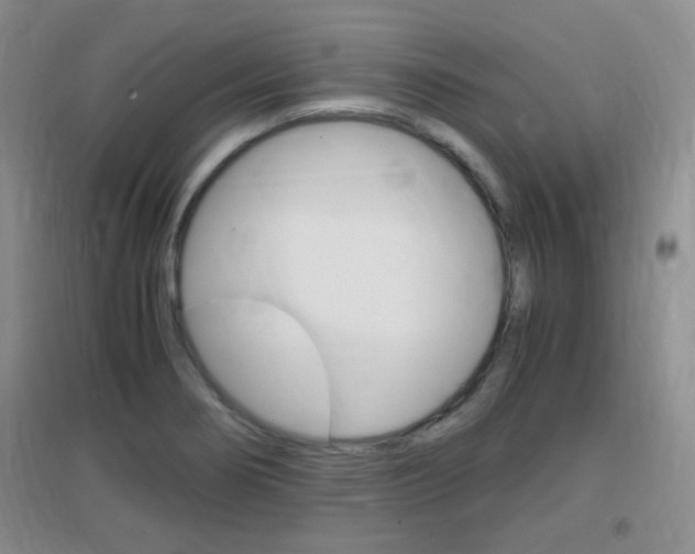 X0000096941274200802080850