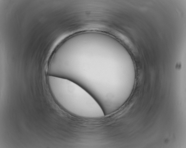X0000096941275200802080850
