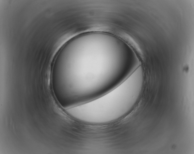 X0000096941276200802080850
