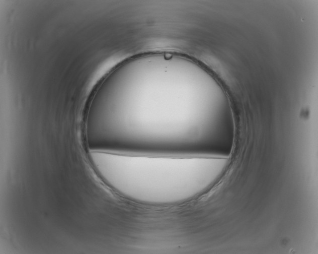 X0000096941277200802080850