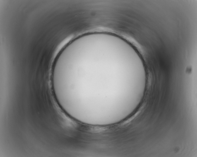 X0000096941278200802080850