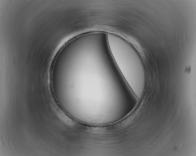 X0000096941280200802080850