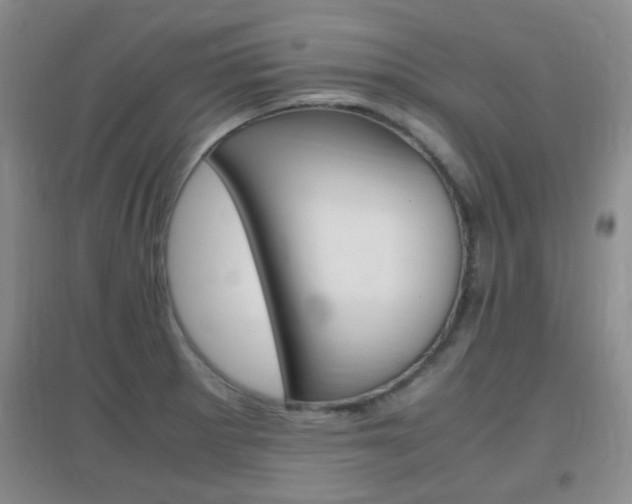 X0000096941281200802080850