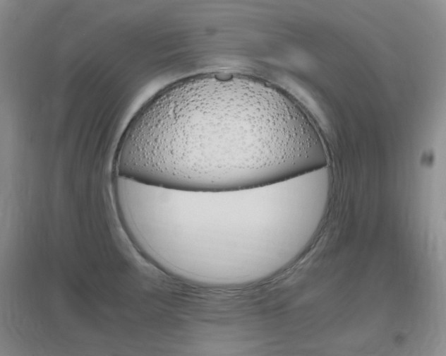 X0000096941283200802080850