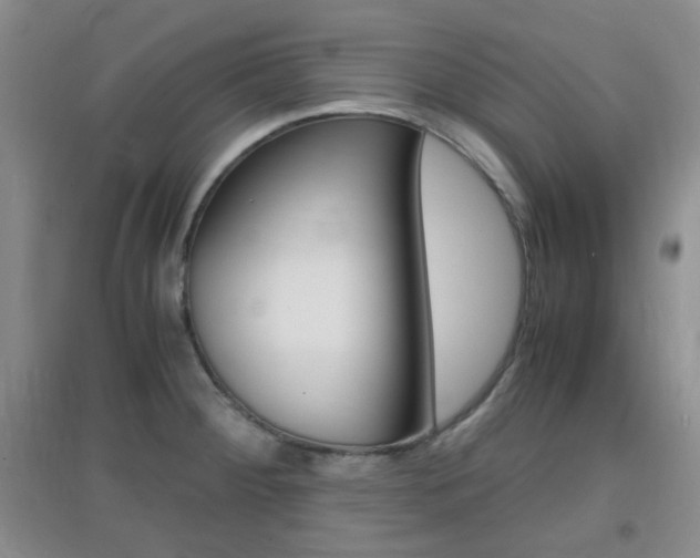 X0000096941284200802080850
