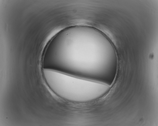 X0000096941285200802080850