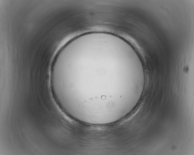 X0000096941286200802080850