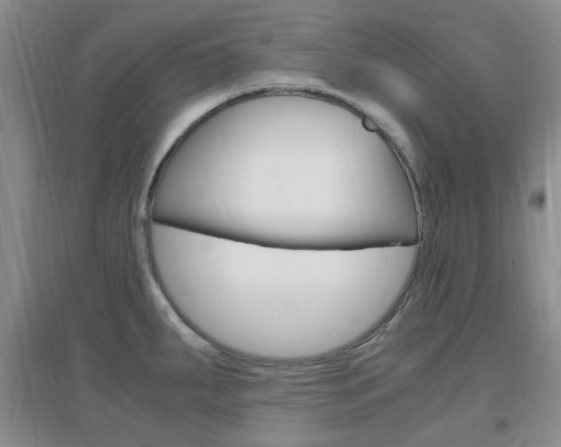 X0000096941287200802080850