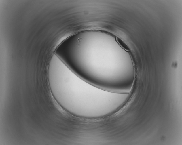 X0000096941289200802080850