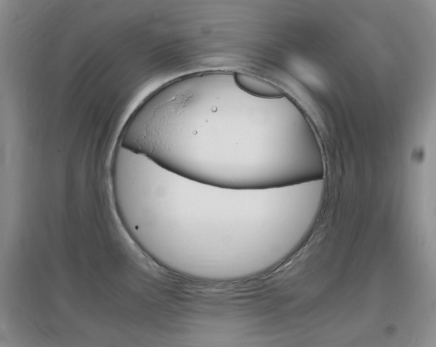 X0000096941291200802080850
