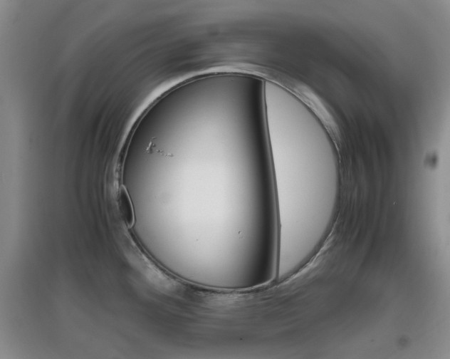 X0000096941292200802080850