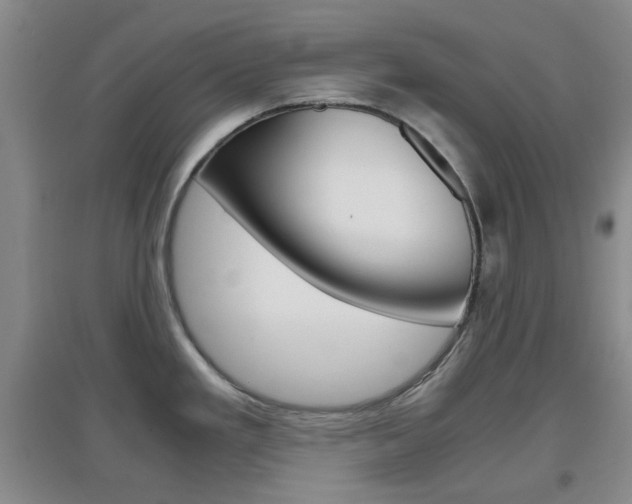 X0000096941293200802080850