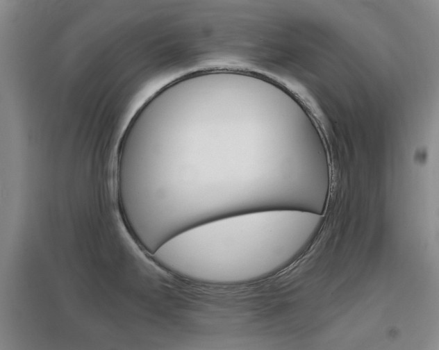 X0000096941295200802080850