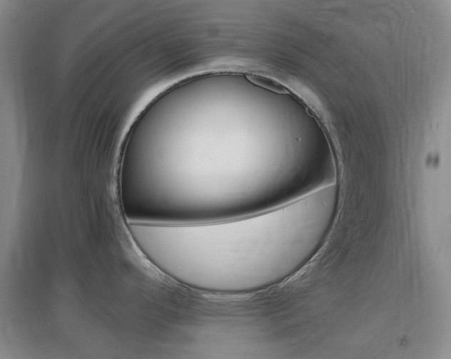 X0000096941296200802080850