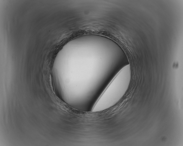 X0000096941297200802080849