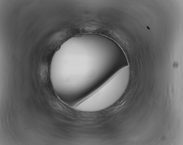 X0000096941299200802080849