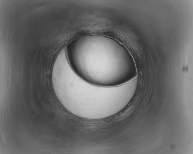 X0000096941300200802080849