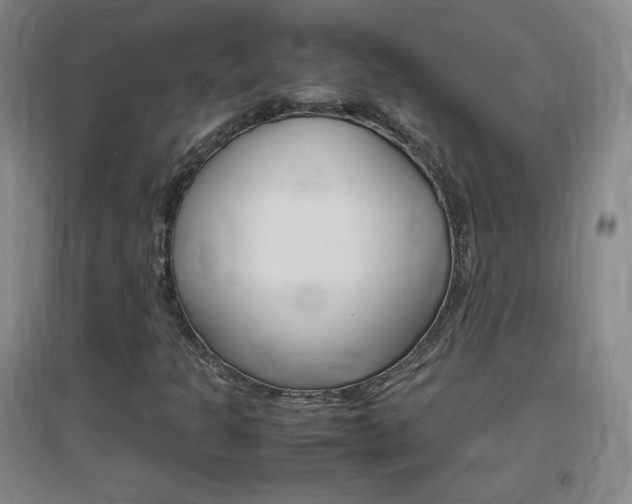X0000096941301200802080850