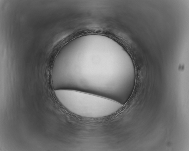 X0000096941302200802080850