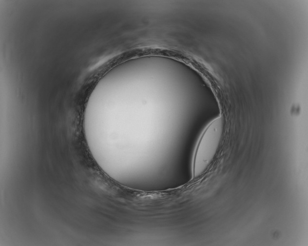 X0000096941303200802080850