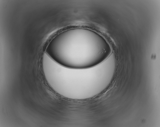 X0000096941304200802080850