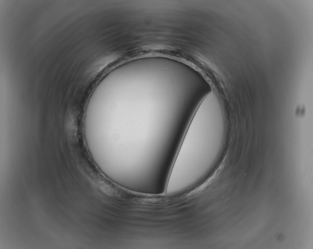 X0000096941305200802080850