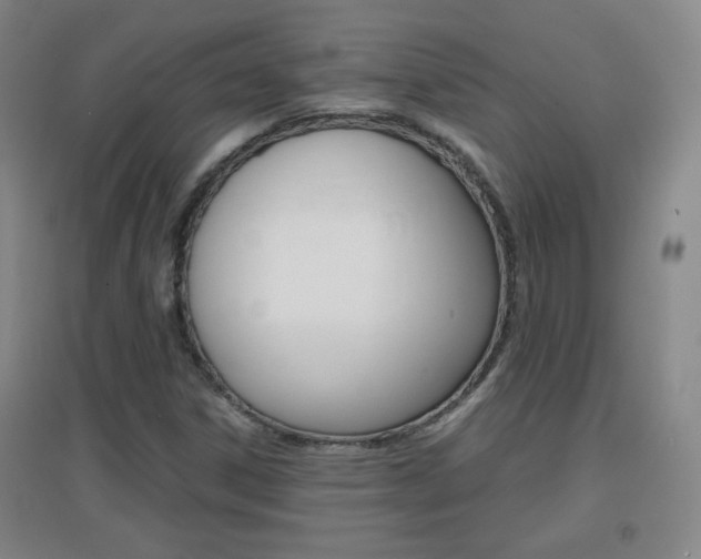 X0000096941306200802080850