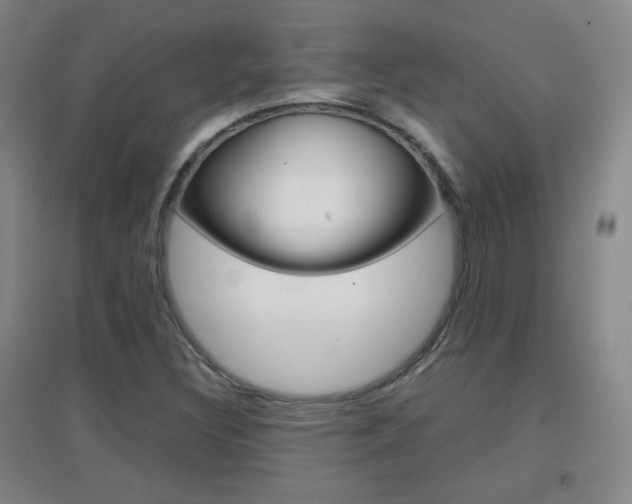 X0000096941308200802080850