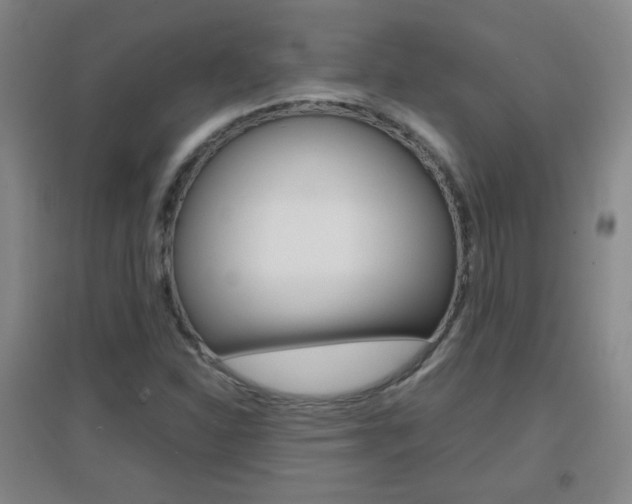 X0000096941310200802080850