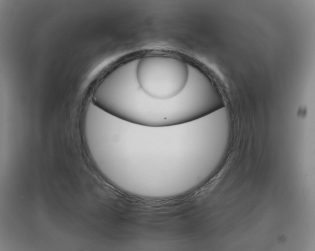 X0000096941311200802080850