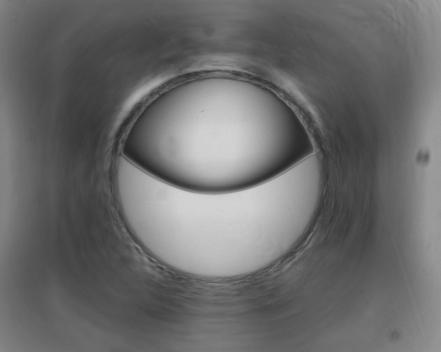 X0000096941312200802080850