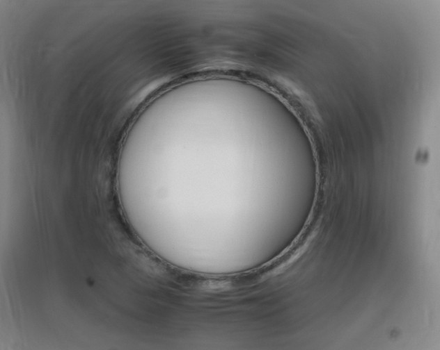 X0000096941313200802080850
