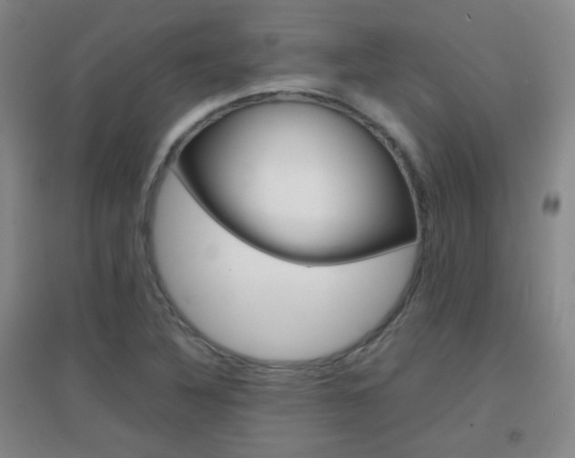 X0000096941316200802080850