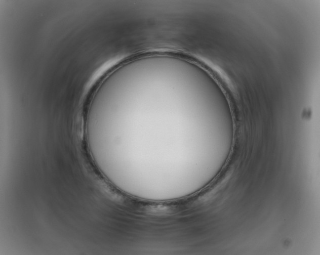 X0000096941317200802080850