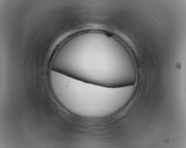 X0000096941318200802080850