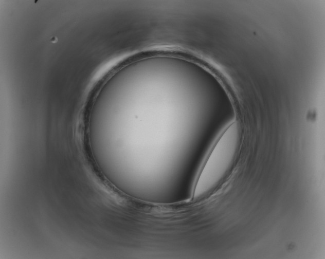 X0000096941319200802080850