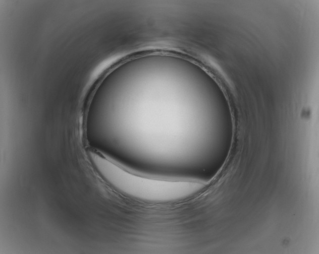 X0000096941320200802080850