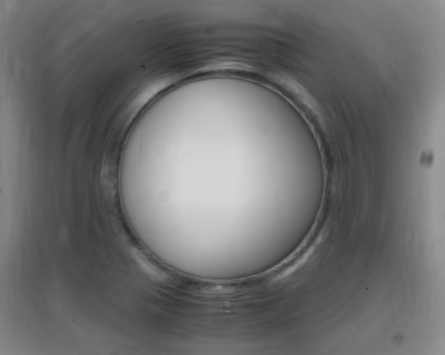 X0000096941321200802080850