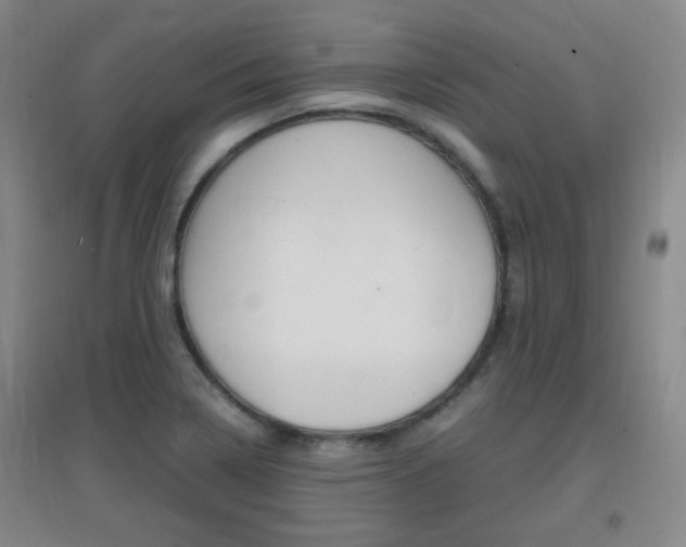 X0000096941322200802080850