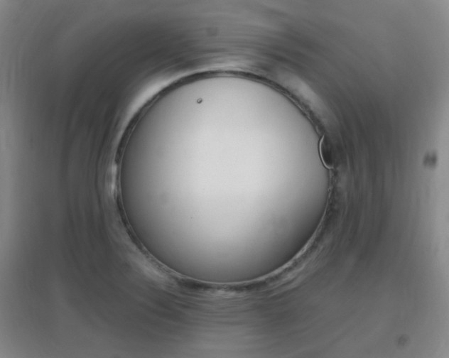 X0000096941324200802080850