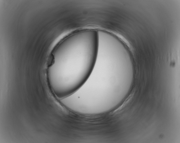 X0000096941325200802080850